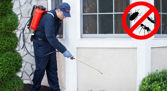Karpuzlu Akrep İlaçlama böcek ilaçlama ve haşere kontrolü — ilaclama-tr.com